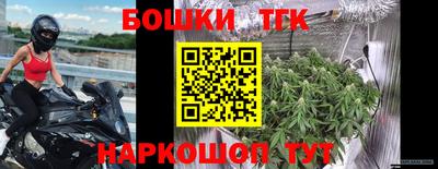 шишки Новокубанск