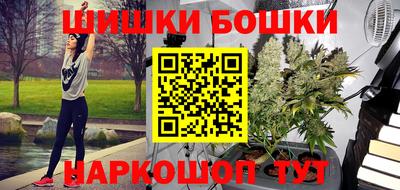 шишки Новокубанск