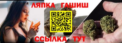 шишки Новокубанск